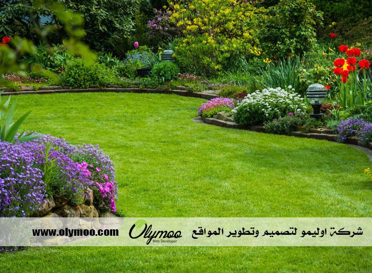 تركيب عشب صناعي بالرياض