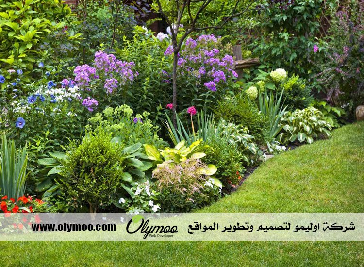 تركيب عشب صناعي بالرياض