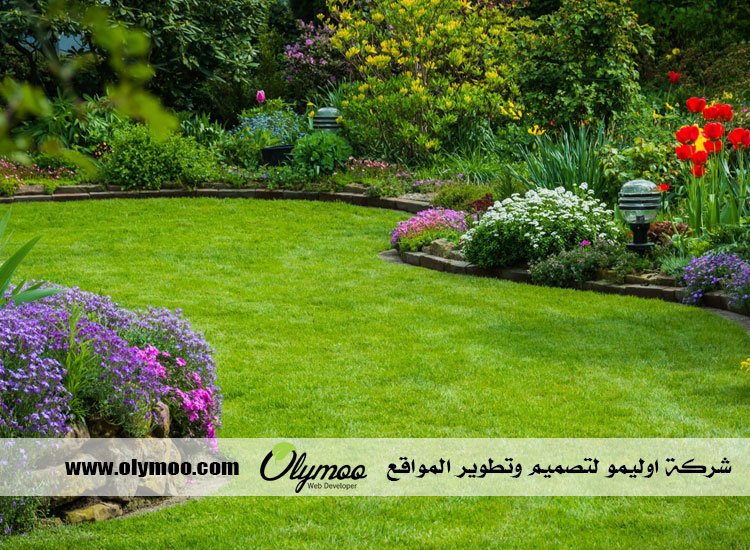 شركة تنسيق حدائق بالرياض