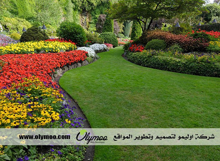 شركة تنسيق حدائق بالرياض