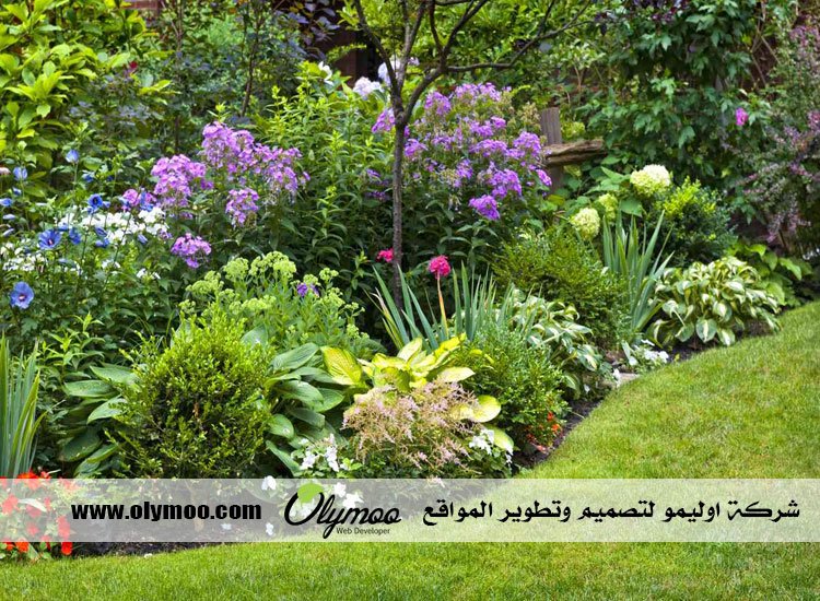 شركة تنسيق حدائق بالرياض