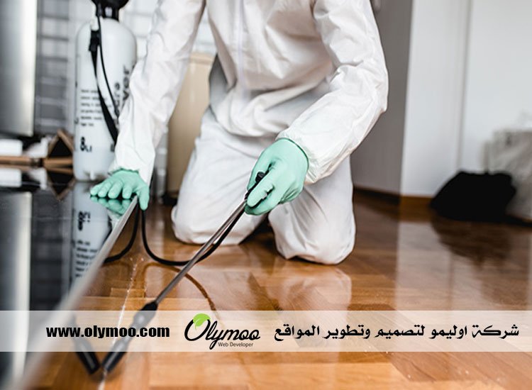 شركة مكافحة الصراصير في دبي